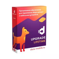 DataMobile, Upgrade 2.9 -> 3.0 Online